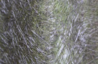 Boultham fibreglass roof work